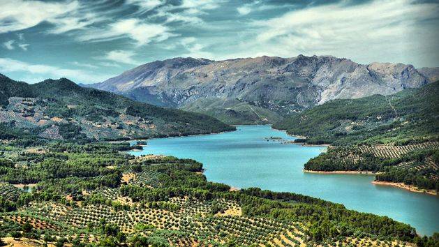 La DOP Sierra de Segura da a conocer a la prensa nacional la calidad y bondades de sus AOVEs