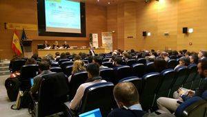 Diversos expertos abordan en Madrid los últimos avances en la lucha contra la Xylella fastidiosa