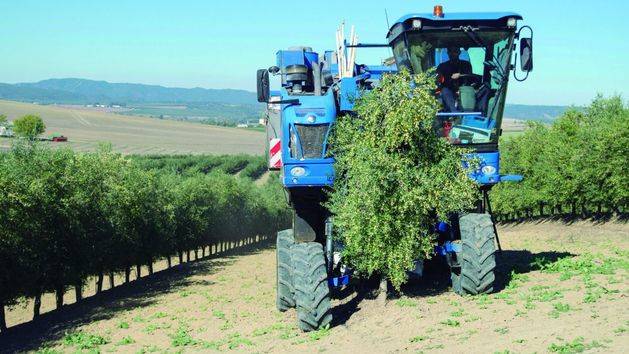 Todolivo lleva a Expoliva todas las novedades de las plantaciones multivarietales de olivar en seto