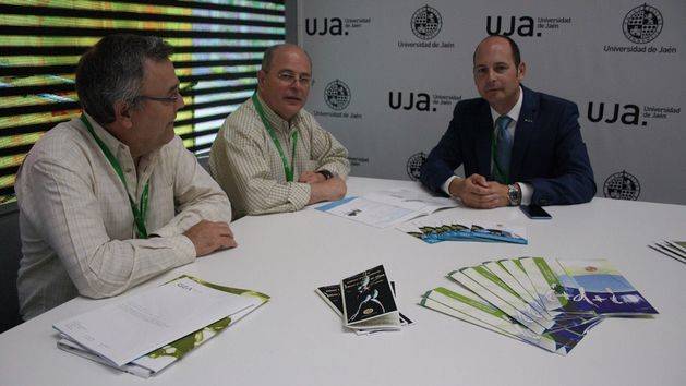 Investigadores de la UJA optimizan el proceso de almazara para mejorar los rendimientos grasos industriales y la calidad de los aceites de oliva vírgenes