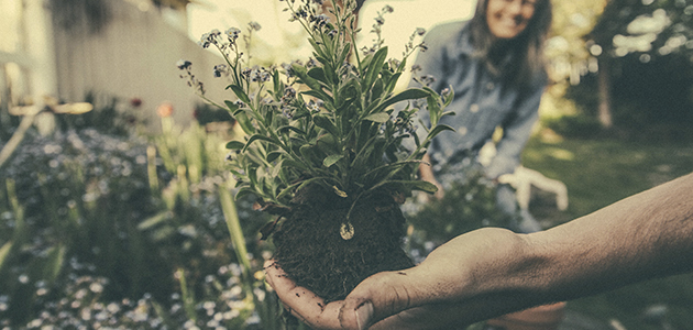 ¿Cómo afectan las prácticas agrícolas a la huella de carbono de un cultivo?