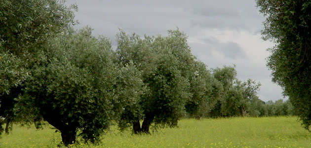 Industria agroalimentaria: el sector pide a gritos innovación, cambio y regeneración