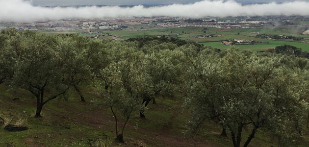 Dinamitando los pilares de nuestra tierra