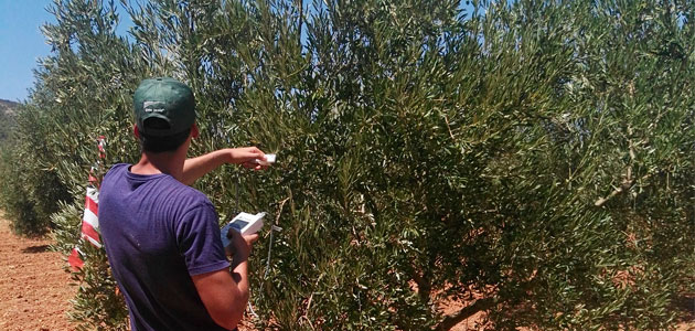 La CE propone un propone un plan de acción para que las zonas rurales sean más fuertes, resilientes y prósperas