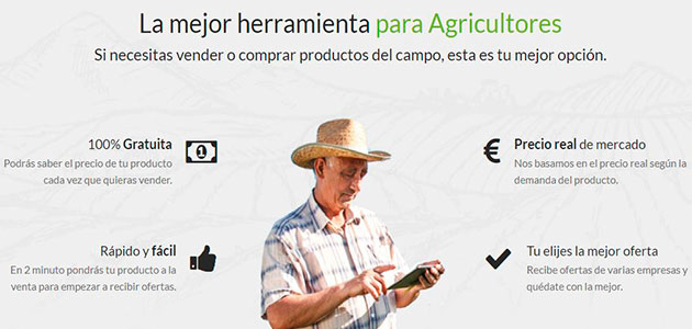 Pionera herramienta agrícola online para calcular el precio de la aceituna y comercializarla sin intermediarios