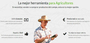 Pionera herramienta agrícola online para calcular el precio de la aceituna y comercializarla sin intermediarios