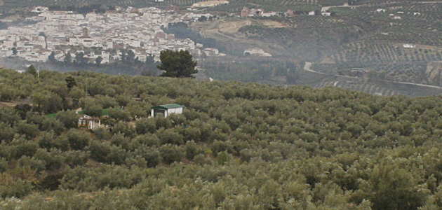 Andalucía convoca ayudas para respaldar la fusión e integración de entidades agroalimentarias