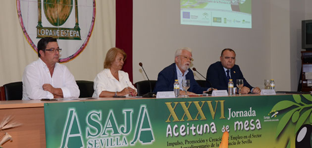ASAJA-Sevilla estima una producción nacional de aceituna de mesa de 502.000 toneladas verdeables