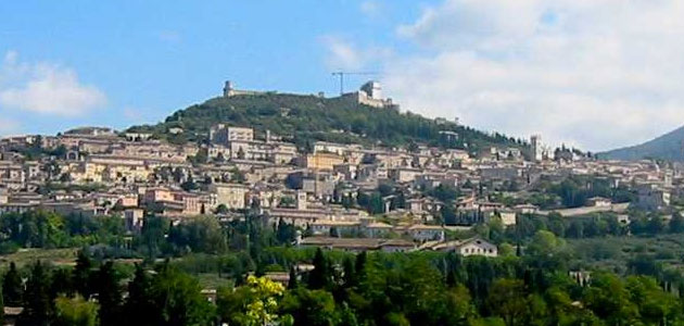 Los olivares italianos de Asís y Spoleto, reconocidos por la FAO