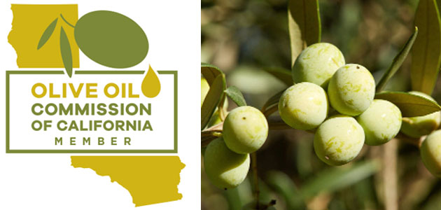 California espera una disminución significativa en su producción de aceite de oliva