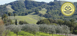 “Espectacular aumento” de la demanda de AOVE en California