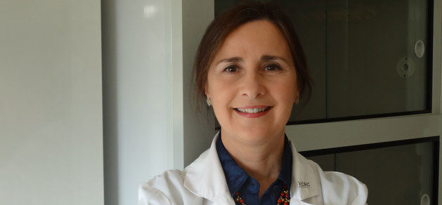 El CSIC indaga en el 'enorme potencial' de la olivicultura gallega