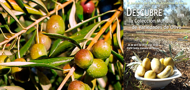 El Ifapa ofrece la II Jornada de Cata de Aceitunas de Mesa procedentes de su Colección Mundial de Variedades de Olivo