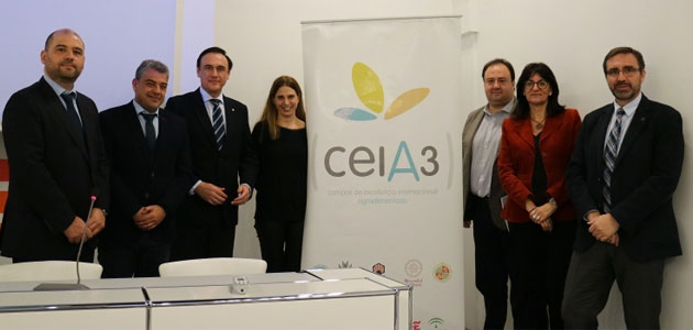 CeiA3 participa en más del 50% de proyectos financiados a través de Grupos Operativos regionales en el olivar