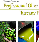 Olive Oil Academy organiza en octubre un curso para catadores profesionales de aceite de oliva