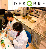 Los extractos de microalgas marinas alargan la fecha de consumo del aceite de oliva virgen