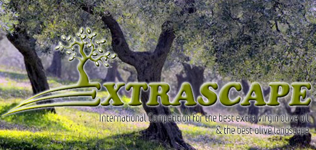 Extrascape busca el mejor AOVE del mundo y la calidad del paisaje olivarero