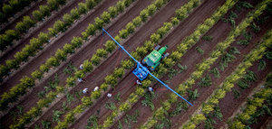 Galpagro lidera el proyecto europeo que tratará de prevenir la Xylella fastidiosa en olivar