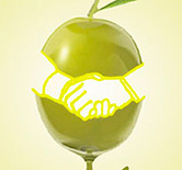 Greenoliveoil busca financiación vía crowfunding para crear un canal de venta directa de AOVE