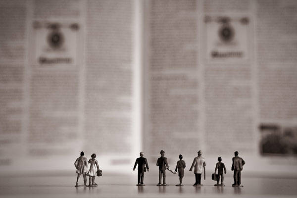 Mercacei se dirige a todo el sector oleícola y olivarero.