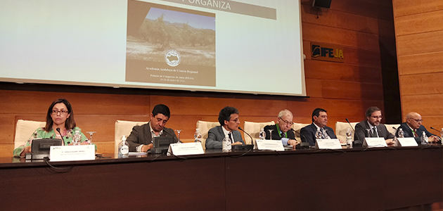 El CIAO 2022 defiende la importancia de los territorios olivareros frente a los cambios socieconómicos y ambientales
