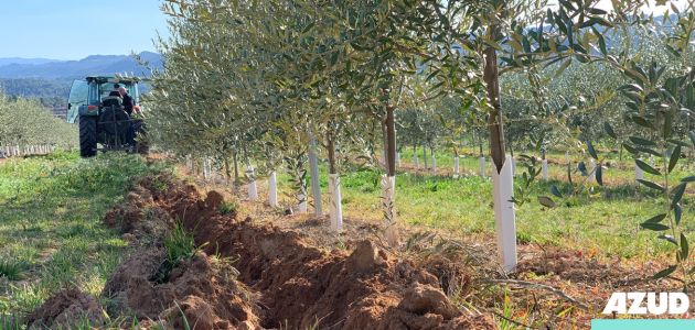 AZUD presenta sus innovadoras soluciones de riego en MUNDOLIVAR 2024