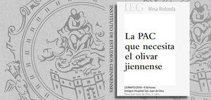 Académicos y organizaciones reflexionarán sobre la PAC que necesita el olivar jiennense