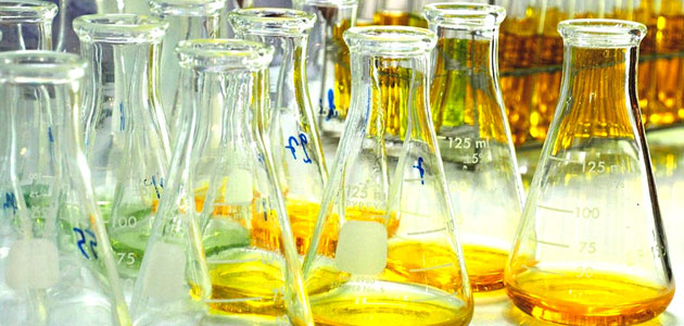 Ciertos componentes anticancerígenos de la piel de aceituna, a examen en aceites y otros subproductos
