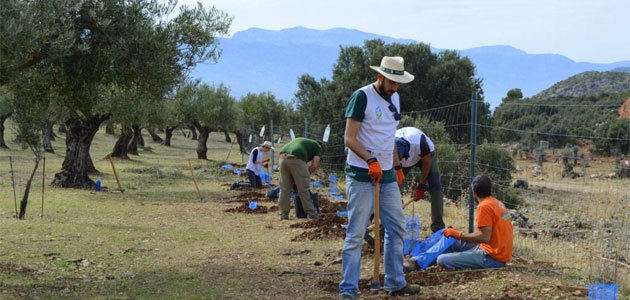 El 90% de los agricultores andaluces, a favor de potenciar la biodiversidad en sus olivares
