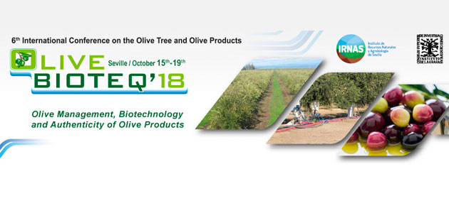 Olive Bioteq reunirá en Sevilla los últimos avances y conocimientos en olivicultura