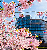 El PE aprueba ventajas arancelarias para el aceite de Túnez con garantías para los productores