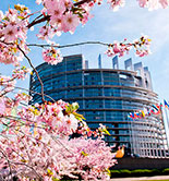 Propuesta una nueva categoría de AOVE de alta calidad en el Parlamento Europeo