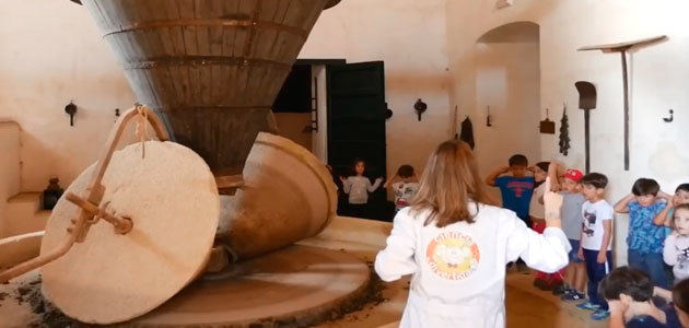 Más de 15.000 escolares conocen la importancia de la cultura oleícola con Planeta Olivo