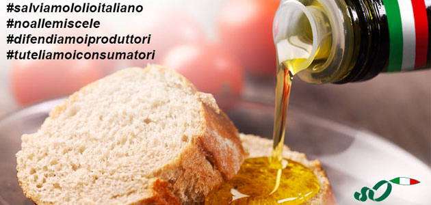Los olivicultores italianos lanzan una campaña pública para “salvar” el aceite de oliva Made in Italy