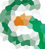 Convocada la VI edición del Premio de Investigación del CES de Jaén