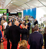 Primera conclusión de SOL&Agrifood: la UE pierde peso en la producción de aceite de oliva