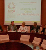 UPA-Andalucía confía en que los precios en origen del aceite de oliva se mantengan estables durante las próximas cuatro o cinco campañas