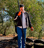 Philippe Starck diseñará una almazara ecológica en Ronda