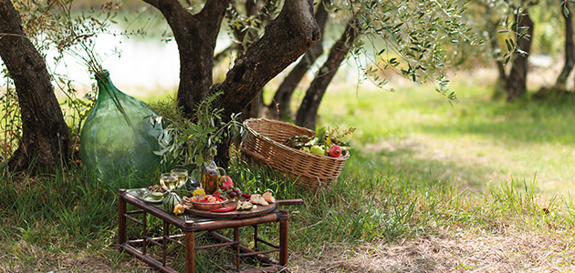 Sumérgete en The Routes of the olive tree