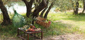 Sumérgete este verano en The Routes of the olive tree