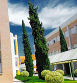 La UJA imparte un curso de especialización en Producción Integrada y sostenibilidad en el olivar