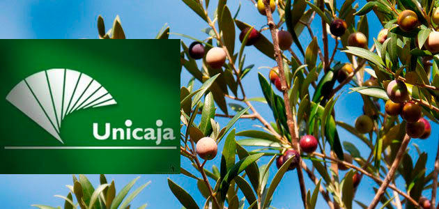 El foro Enclave Agrario de Unicaja aborda la olivicultura internacional