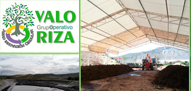 El proyecto Oleovaloriza investiga la conversión de desechos oleícolas en abono económico y de calidad