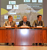 La I Conferencia Internacional sobre la Xylella fastidiosa analiza cómo actuar contra la bacteria que amenaza el olivar mediterráneo