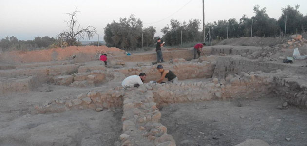 Lechín de Granada, una de las variedades habituales en Jaén en tiempos de los romanos