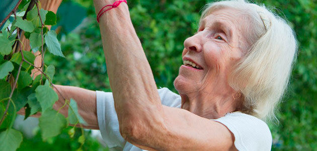 El AOVE, clave en la nutrición de las personas mayores