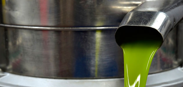 El COI registra un aumento interanual en la producción mundial de aceite de oliva