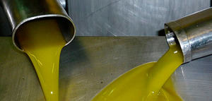 UPA propondrá la prohibición de almacenar aceite de oliva extranjero en el PCO
