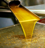 FOSS celebra en octubre una nueva edición de su Encuentro con el Sector Oleícola