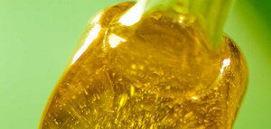 Las empresas de ASOLIVA exportaron 592.000 toneladas de aceite de oliva y de orujo en 2025, un 23% más